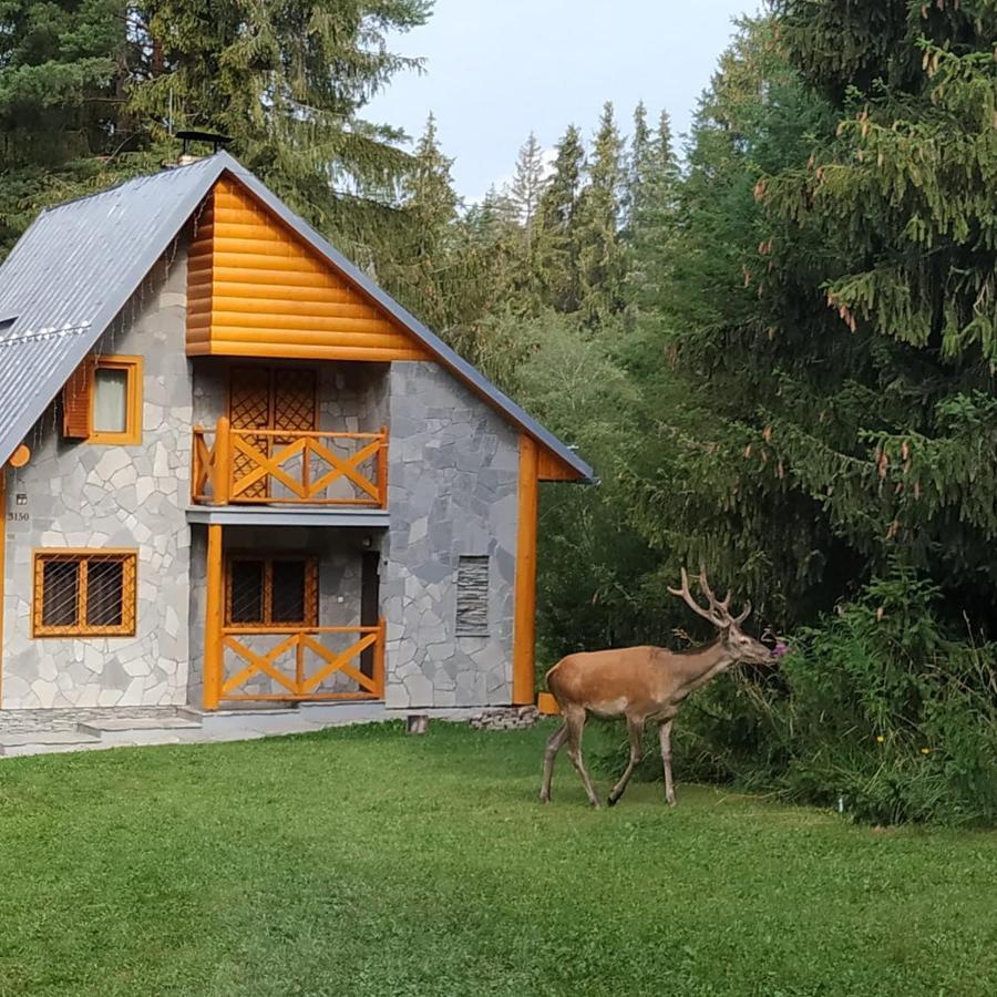 Chata Tatry Татранська Штрба Екстер'єр фото